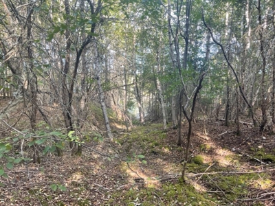 Coastal property for sale - image 2