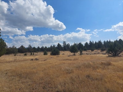 20+/- Acres/Views/Trees/Electricity/Wildlife/Northern, CA - image 11