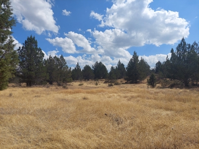 20+/- Acres/Views/Trees/Electricity/Wildlife/Northern, CA - image 3