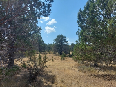20+/- Acres/Views/Trees/Electricity/Wildlife/Northern, CA - image 8