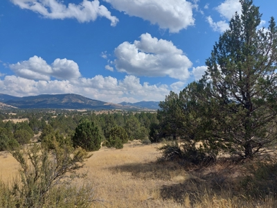 20+/- Acres/Views/Trees/Electricity/Wildlife/Northern, CA - image 14