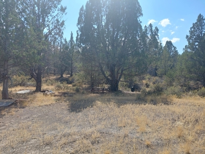 20+/- Acres/Views/Trees/Electricity/Wildlife/Northern, CA - image 5