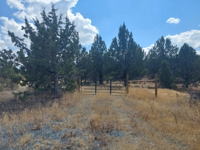 20+/- Acres/Views/Trees/Electricity/Wildlife/Northern, CA - image 2