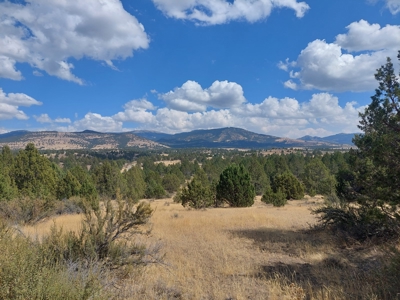 20+/- Acres/Views/Trees/Electricity/Wildlife/Northern, CA - image 1