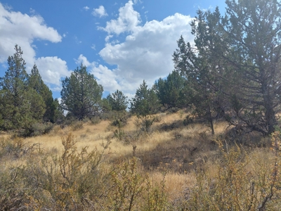 20+/- Acres/Views/Trees/Electricity/Wildlife/Northern, CA - image 6
