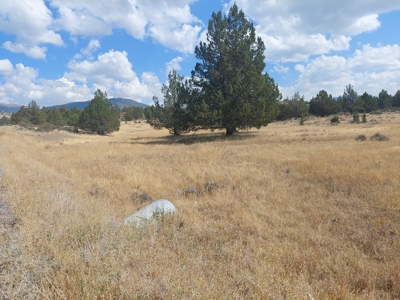 20+/- Acres/Views/Trees/Electricity/Wildlife/Northern, CA - image 9