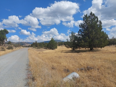 20+/- Acres/Views/Trees/Electricity/Wildlife/Northern, CA - image 12