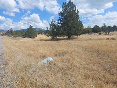 20+/- Acres/Views/Trees/Electricity/Wildlife/Northern, CA - image 10