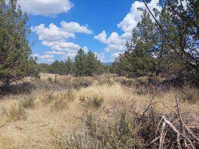 20+/- Acres/Views/Trees/Electricity/Wildlife/Northern, CA - image 7