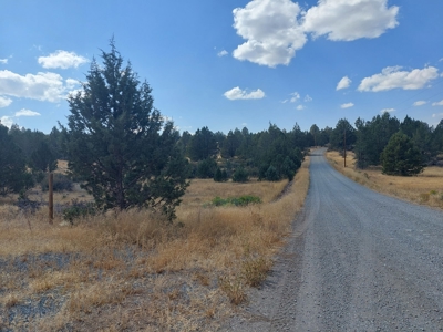20+/- Acres/Views/Trees/Electricity/Wildlife/Northern, CA - image 15