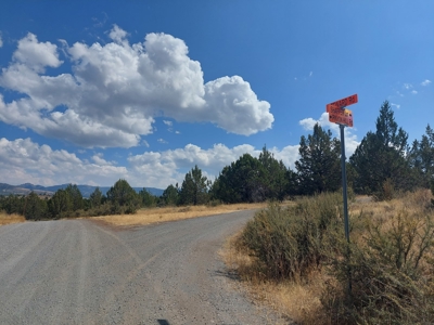 20+/- Acres/Views/Trees/Electricity/Wildlife/Northern, CA - image 13