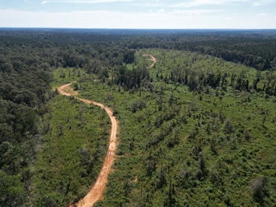 173 +/- Acres for Sale in Southwest Mississippi - image 29
