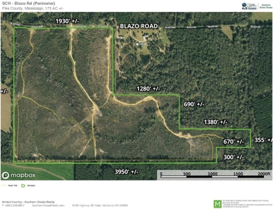173 +/- Acres for Sale in Southwest Mississippi - image 40