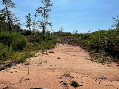 173 +/- Acres for Sale in Southwest Mississippi - image 35