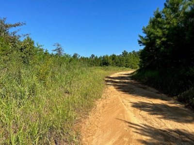 173 +/- Acres for Sale in Southwest Mississippi - image 16
