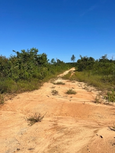 173 +/- Acres for Sale in Southwest Mississippi - image 34