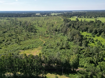 173 +/- Acres for Sale in Southwest Mississippi - image 28