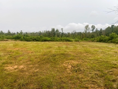 173 +/- Acres for Sale in Southwest Mississippi - image 3