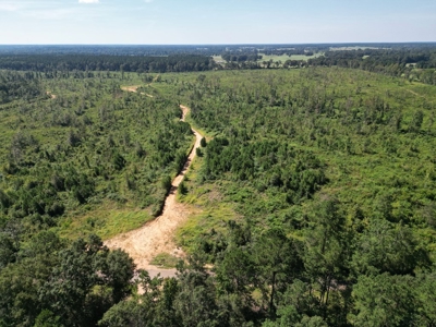 173 +/- Acres for Sale in Southwest Mississippi - image 19