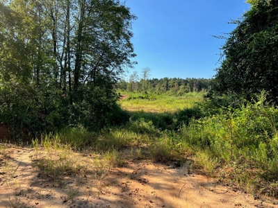 173 +/- Acres for Sale in Southwest Mississippi - image 13