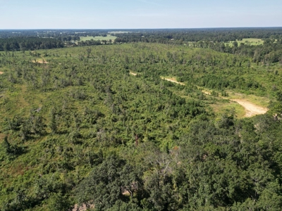 173 +/- Acres for Sale in Southwest Mississippi - image 2
