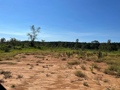 173 +/- Acres for Sale in Southwest Mississippi - image 32