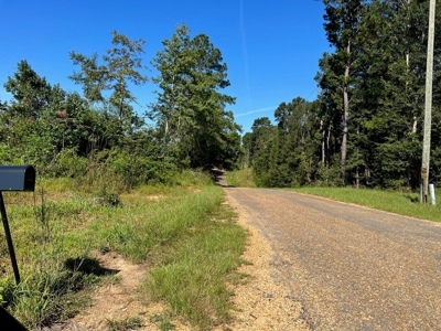 173 +/- Acres for Sale in Southwest Mississippi - image 37