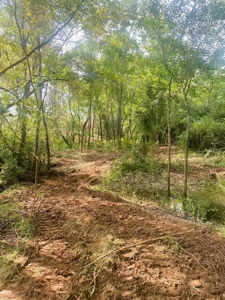 173 +/- Acres for Sale in Southwest Mississippi - image 24