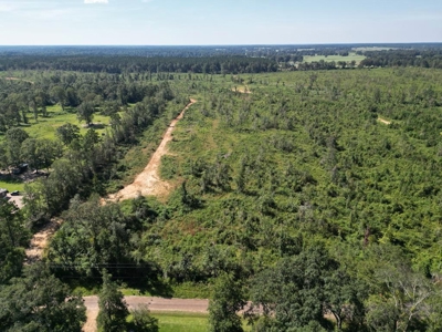 173 +/- Acres for Sale in Southwest Mississippi - image 1
