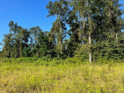 173 +/- Acres for Sale in Southwest Mississippi - image 4