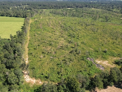173 +/- Acres for Sale in Southwest Mississippi - image 22