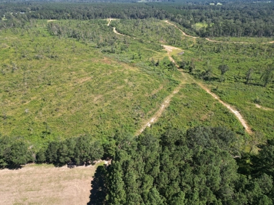 173 +/- Acres for Sale in Southwest Mississippi - image 12