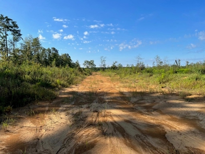 173 +/- Acres for Sale in Southwest Mississippi - image 36