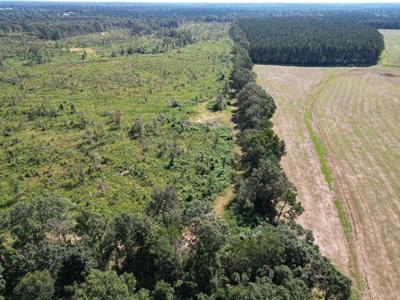 173 +/- Acres for Sale in Southwest Mississippi - image 14