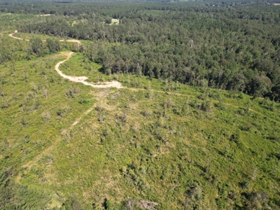 173 +/- Acres for Sale in Southwest Mississippi - image 10