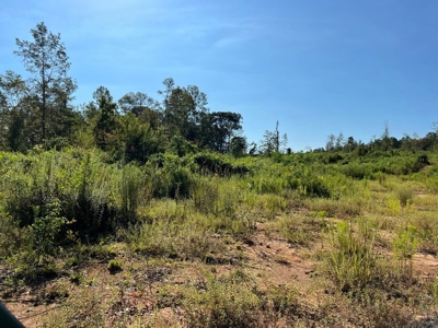 173 +/- Acres for Sale in Southwest Mississippi - image 30