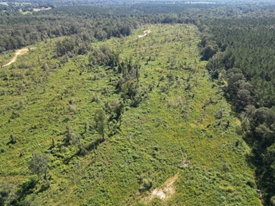 173 +/- Acres for Sale in Southwest Mississippi - image 17