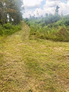 173 +/- Acres for Sale in Southwest Mississippi - image 27