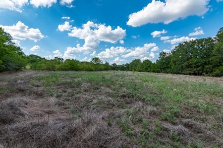 Recreational Land for Sale Near Austin TX in Bastrop County - image 18
