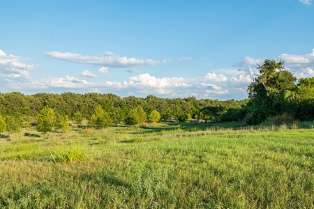 Recreational Land for Sale Near Austin TX in Bastrop County - image 26