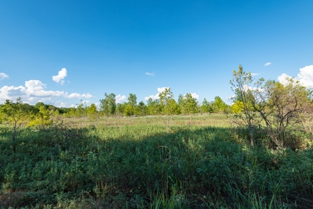 Recreational Land for Sale Near Austin TX in Bastrop County - image 6