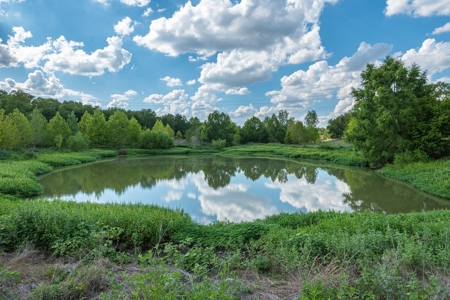 Recreational Land for Sale Near Austin TX in Bastrop County - image 20