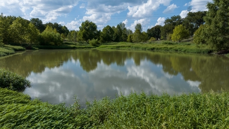 Recreational Land for Sale Near Austin TX in Bastrop County - image 22