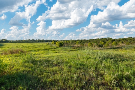Recreational Land for Sale Near Austin TX in Bastrop County - image 25