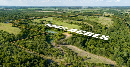 Recreational Land for Sale Near Austin TX in Bastrop County - image 2