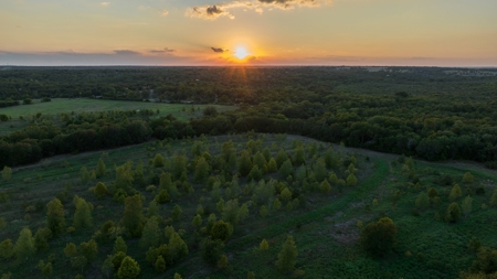 Recreational Land for Sale Near Austin TX in Bastrop County - image 17