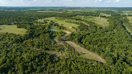 Recreational Land for Sale Near Austin TX in Bastrop County - image 11