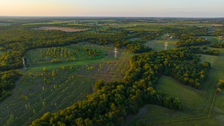 Recreational Land for Sale Near Austin TX in Bastrop County - image 14