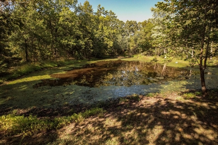 Home for sale Osceola, MO - image 22