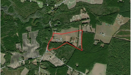 3 BR Log Home with 54.59 Acres - image 17